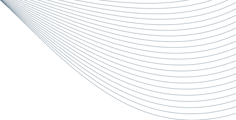 SES Silva Estela Soares